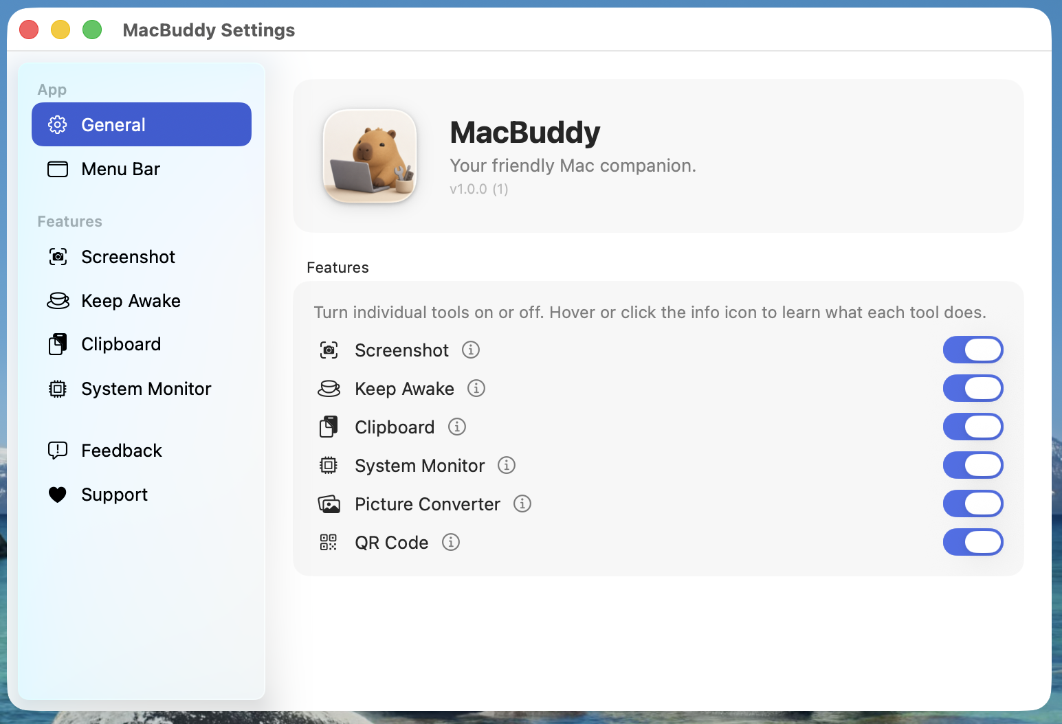 CapyBuddy Settings window