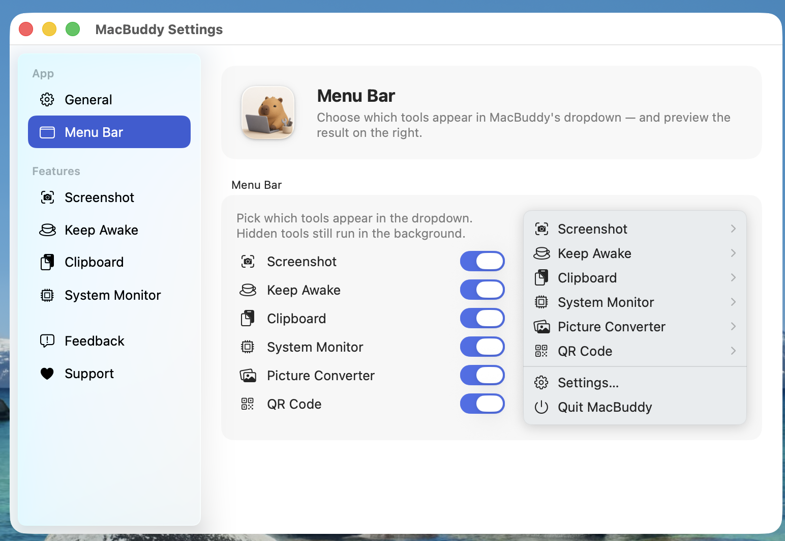 Menu Bar settings — choose which tools appear